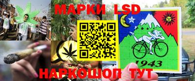 амф Коммунар