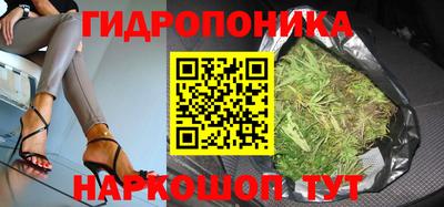 индика Конаково