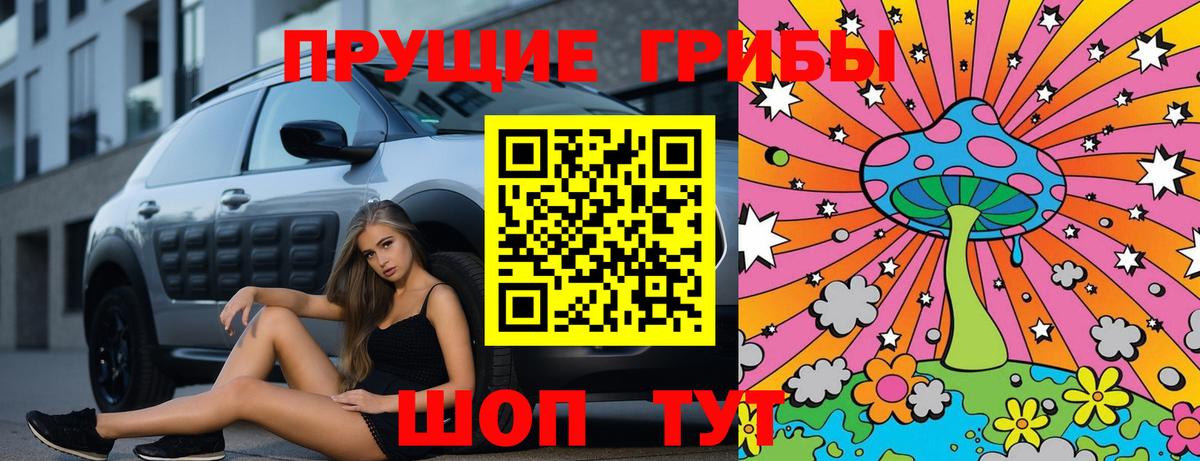 купить наркоту  Вход с VPN  Коряжма  Псилоцибиновые грибы Magic Shrooms 